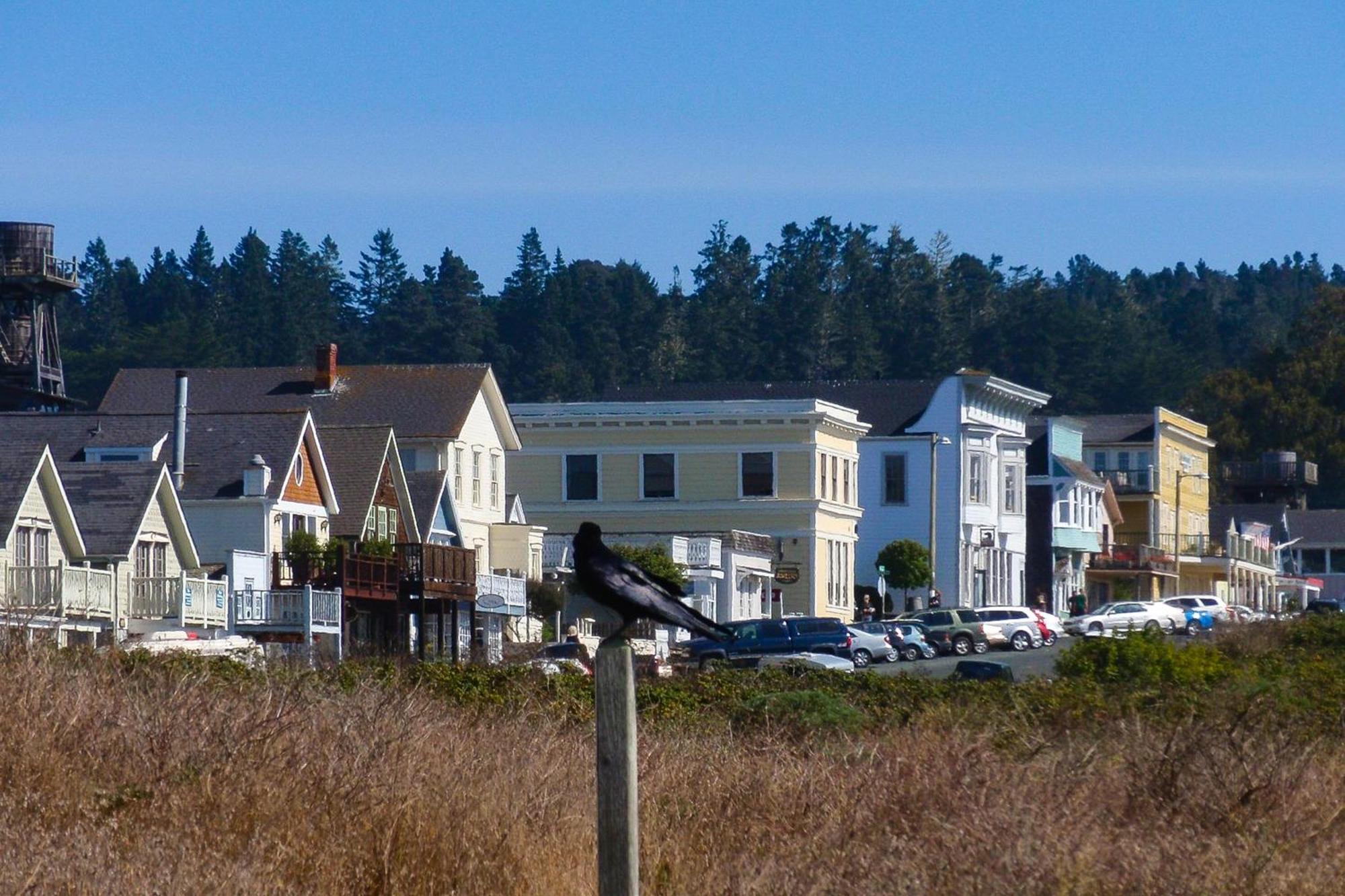Mendocino Redwood Retreat - Vista Home Albion Eksteriør billede