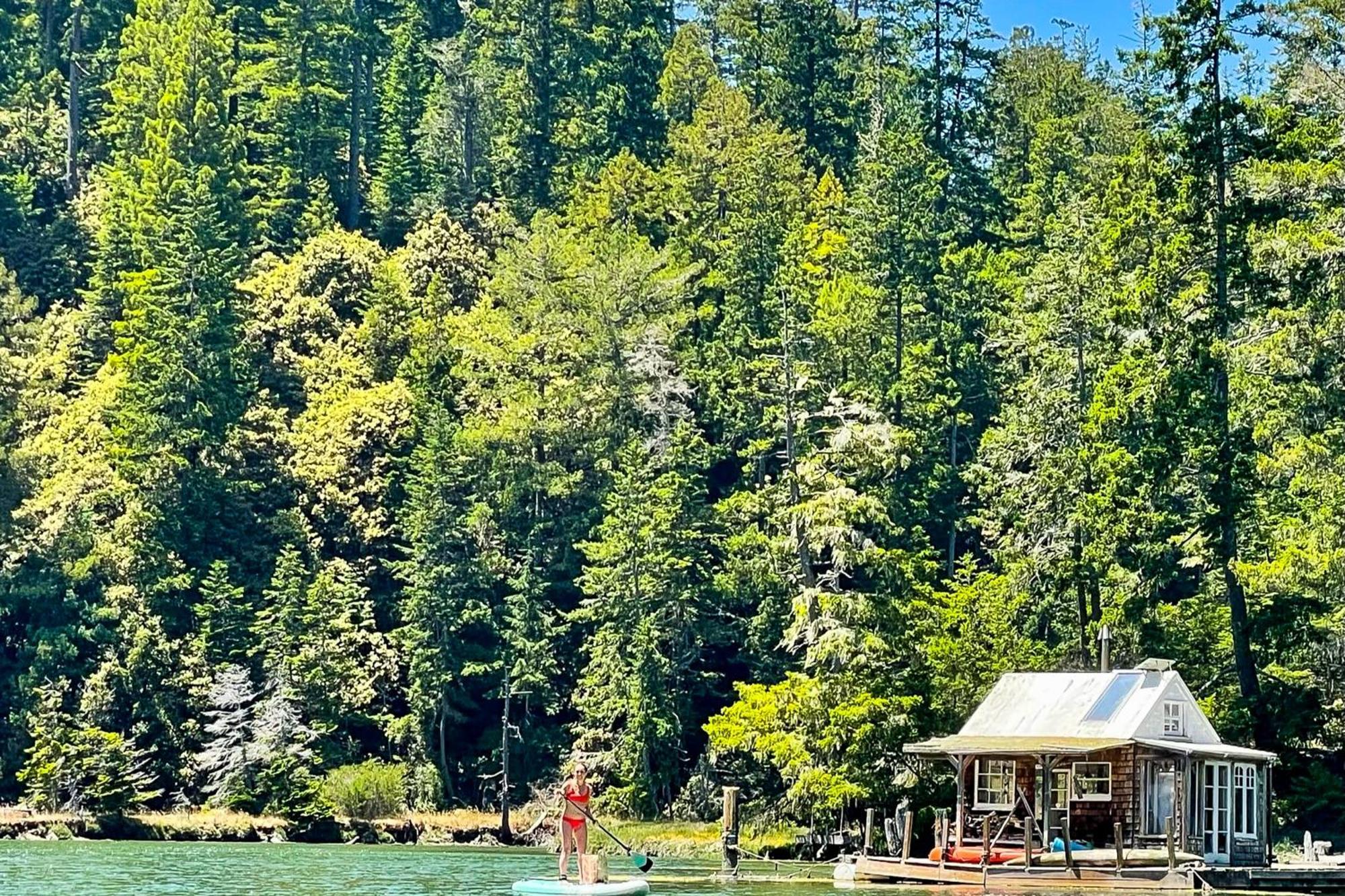 Mendocino Redwood Retreat - Vista Home Albion Eksteriør billede