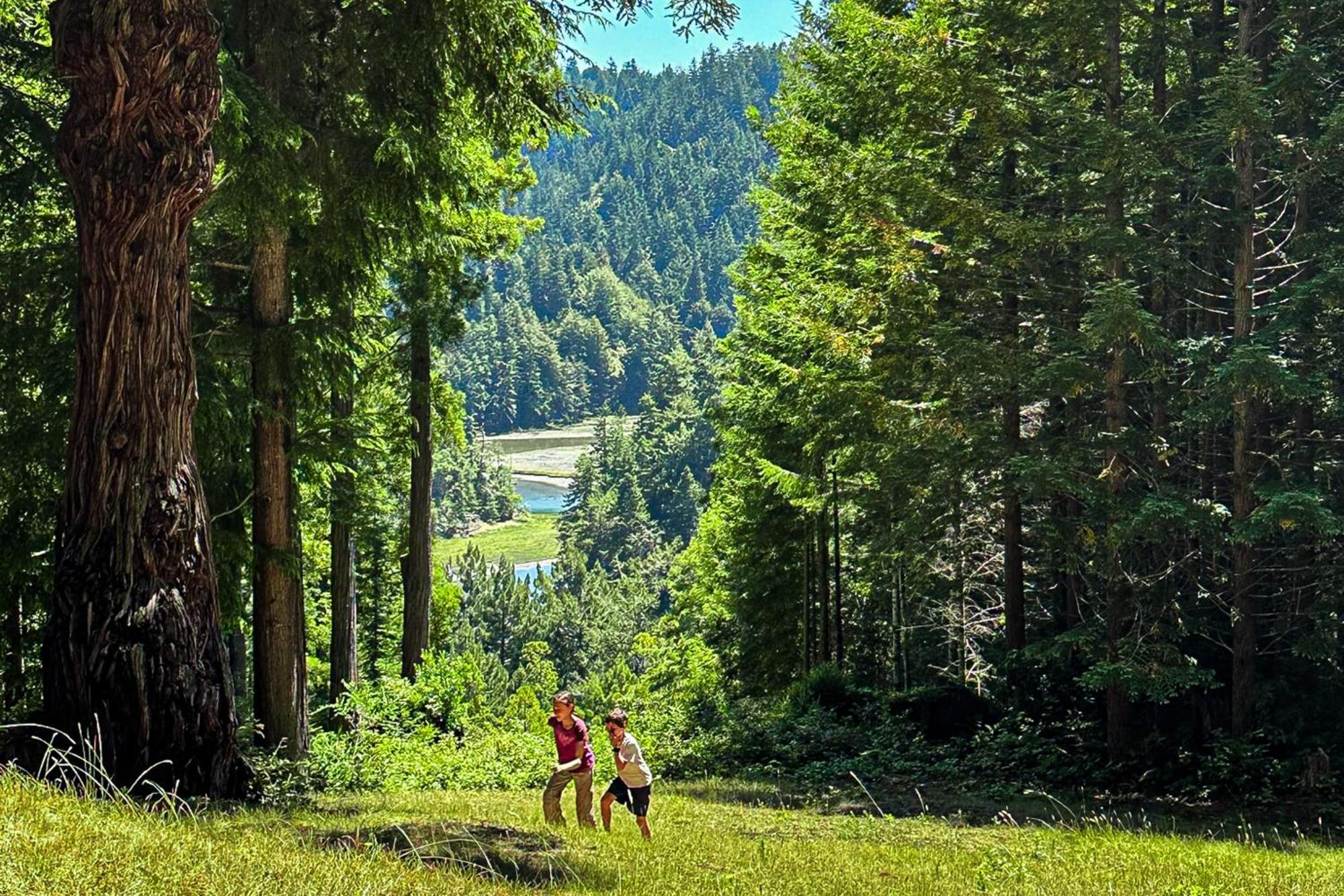 Mendocino Redwood Retreat - Vista Home Albion Eksteriør billede